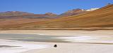 BOLIVIA 2 - Laguna Verde - 10